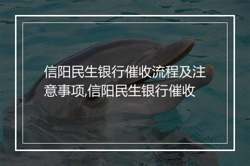 信阳民生银行催收流程及注意事项,信阳民生银行催收