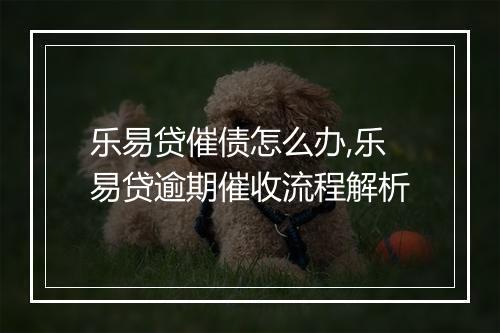 乐易贷催债怎么办,乐易贷逾期催收流程解析