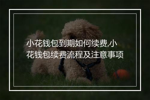 小花钱包到期如何续费,小花钱包续费流程及注意事项