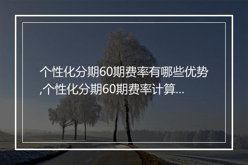 个性化分期60期费率有哪些优势,个性化分期60期费率计算公式