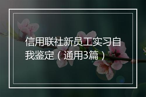 信用联社新员工实习自我鉴定（通用3篇）