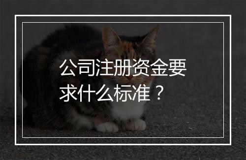 公司注册资金要求什么标准？