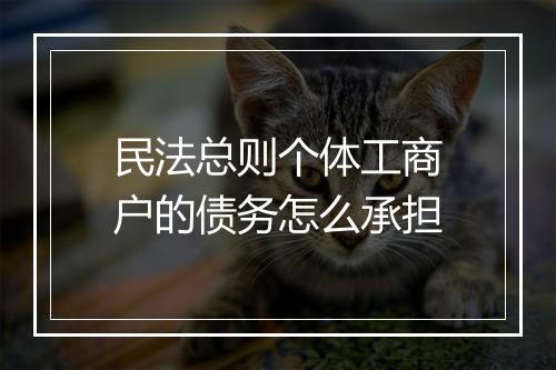 民法总则个体工商户的债务怎么承担