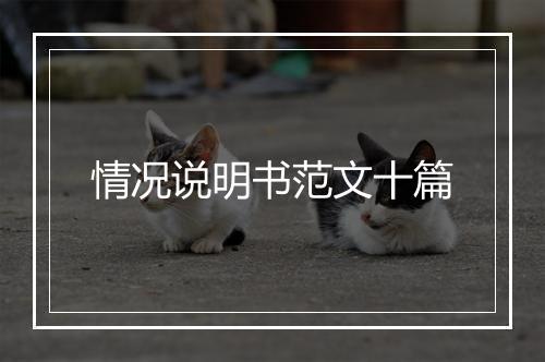 情况说明书范文十篇