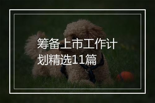 筹备上市工作计划精选11篇