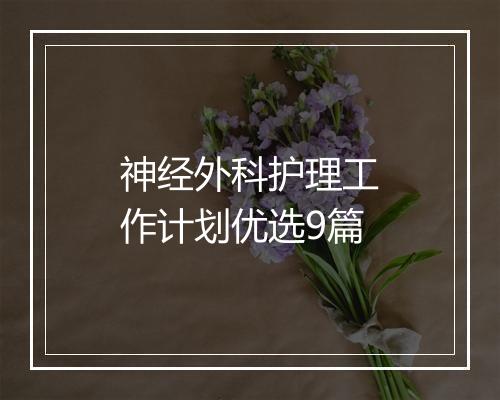 神经外科护理工作计划优选9篇