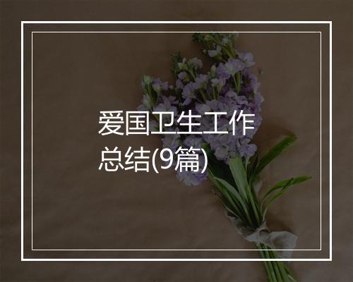 爱国卫生工作总结(9篇)