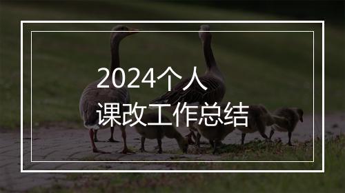 2024个人课改工作总结
