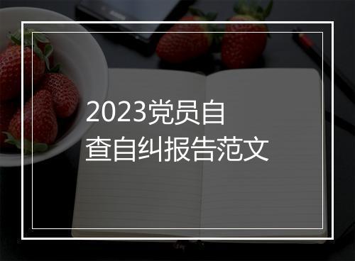 2023党员自查自纠报告范文