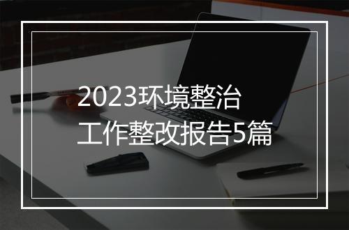 2023环境整治工作整改报告5篇