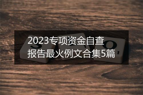 2023专项资金自查报告最火例文合集5篇