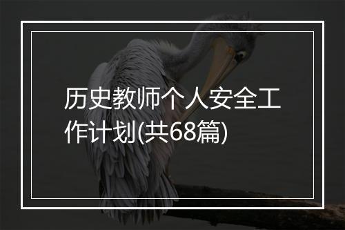 历史教师个人安全工作计划(共68篇)