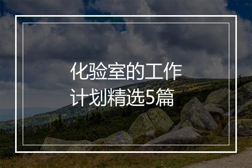 化验室的工作计划精选5篇