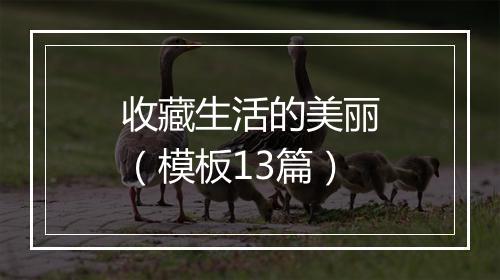 收藏生活的美丽（模板13篇）