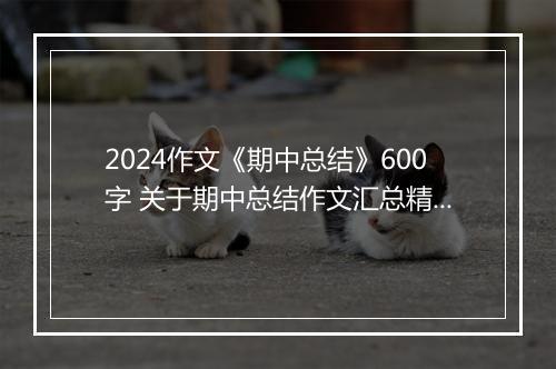 2024作文《期中总结》600字 关于期中总结作文汇总精选9篇