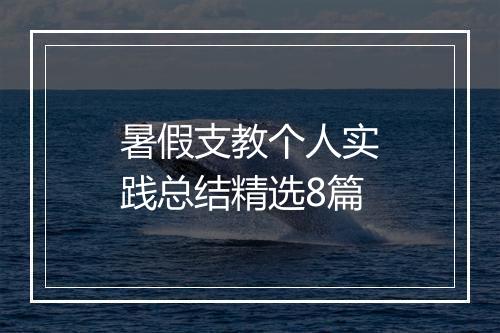 暑假支教个人实践总结精选8篇