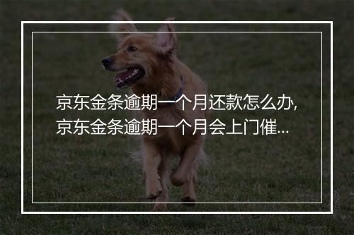 京东金条逾期一个月还款怎么办,京东金条逾期一个月会上门催收吗