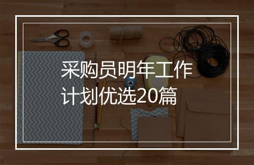 采购员明年工作计划优选20篇