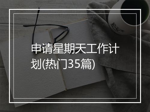 申请星期天工作计划(热门35篇)
