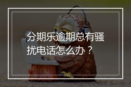 分期乐逾期总有骚扰电话怎么办？