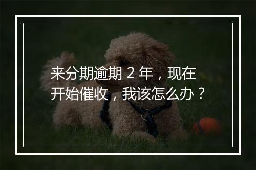 来分期逾期 2 年，现在开始催收，我该怎么办？