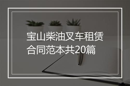 宝山柴油叉车租赁合同范本共20篇