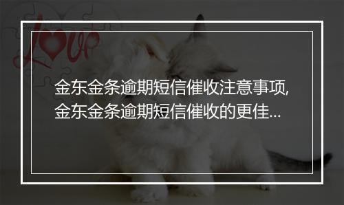 金东金条逾期短信催收注意事项,金东金条逾期短信催收的更佳实践