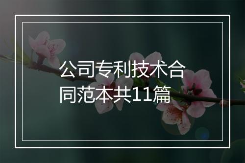 公司专利技术合同范本共11篇