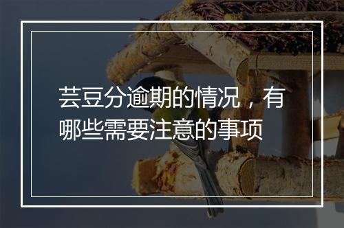 芸豆分逾期的情况，有哪些需要注意的事项