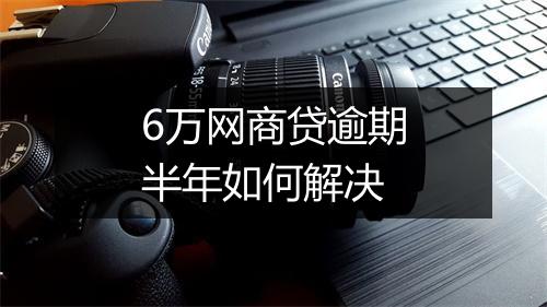 6万网商贷逾期半年如何解决