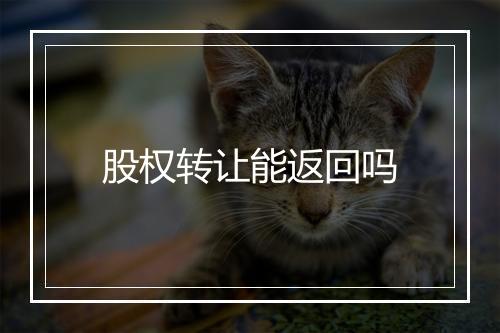 股权转让能返回吗