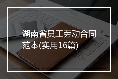 湖南省员工劳动合同范本(实用16篇)