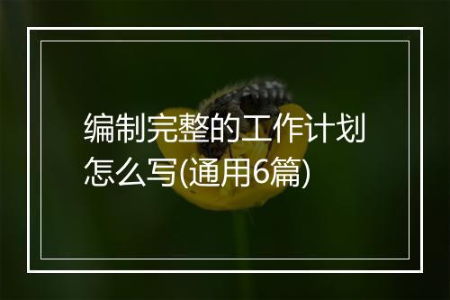 编制完整的工作计划怎么写(通用6篇)