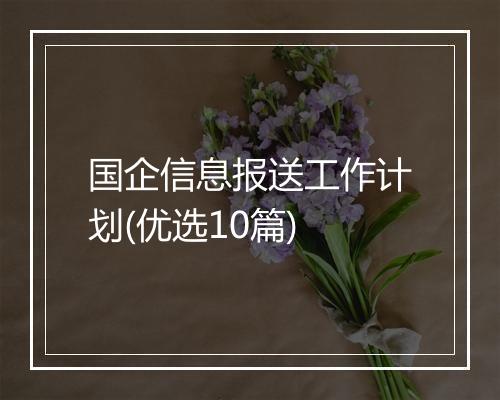 国企信息报送工作计划(优选10篇)