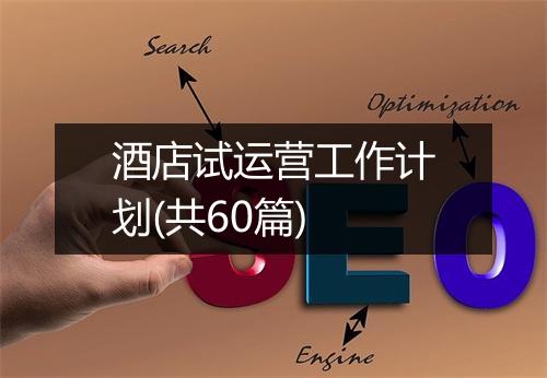 酒店试运营工作计划(共60篇)