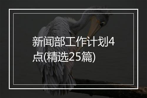 新闻部工作计划4点(精选25篇)