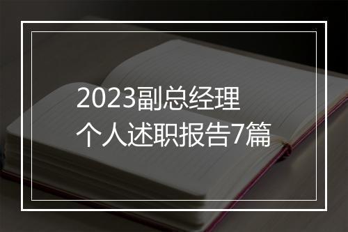 2023副总经理个人述职报告7篇