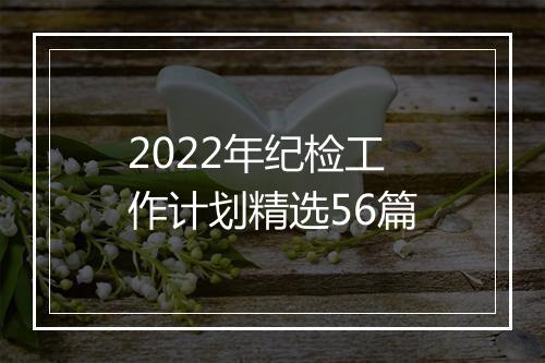 2022年纪检工作计划精选56篇