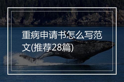 重病申请书怎么写范文(推荐28篇)