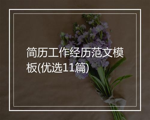 简历工作经历范文模板(优选11篇)