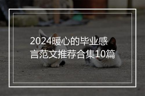 2024暖心的毕业感言范文推荐合集10篇