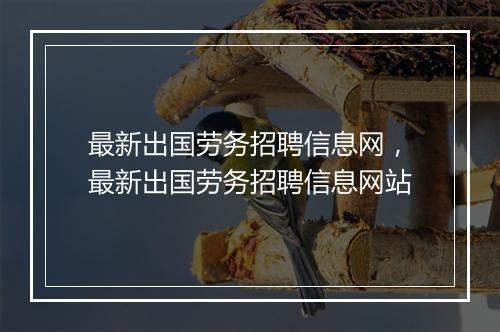 最新出国劳务招聘信息网，最新出国劳务招聘信息网站