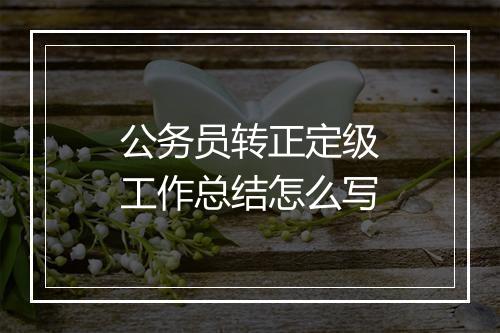 公务员转正定级工作总结怎么写