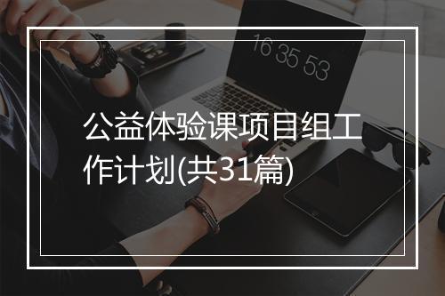 公益体验课项目组工作计划(共31篇)