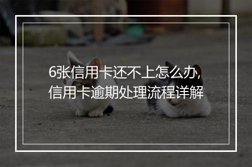 6张信用卡还不上怎么办,信用卡逾期处理流程详解