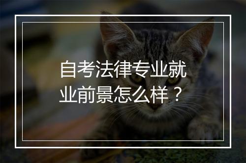 自考法律专业就业前景怎么样？