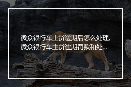 微众银行车主贷逾期后怎么处理,微众银行车主贷逾期罚款和处理流程