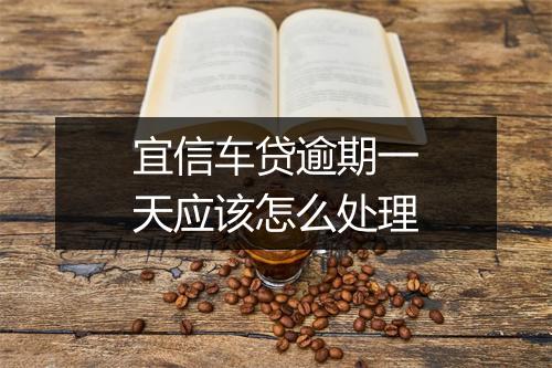 宜信车贷逾期一天应该怎么处理