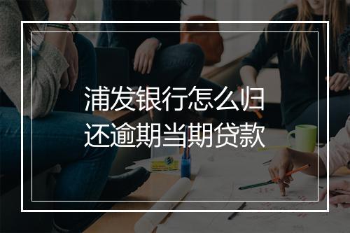 浦发银行怎么归还逾期当期贷款
