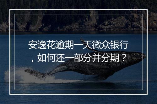 安逸花逾期一天微众银行，如何还一部分并分期？